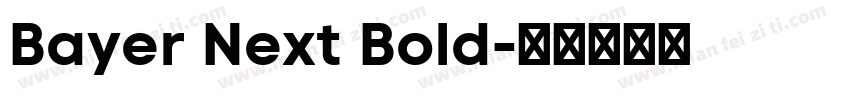 Bayer Next Bold字体转换